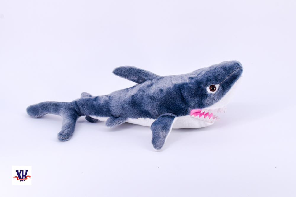 Sharks 