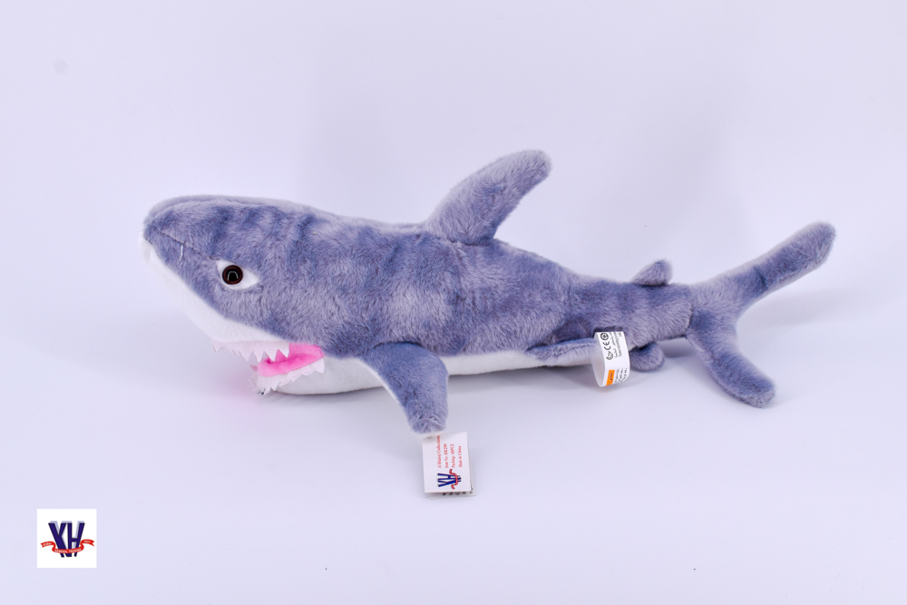 Sharks 