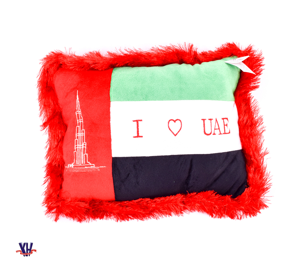 UAE Flag pillow