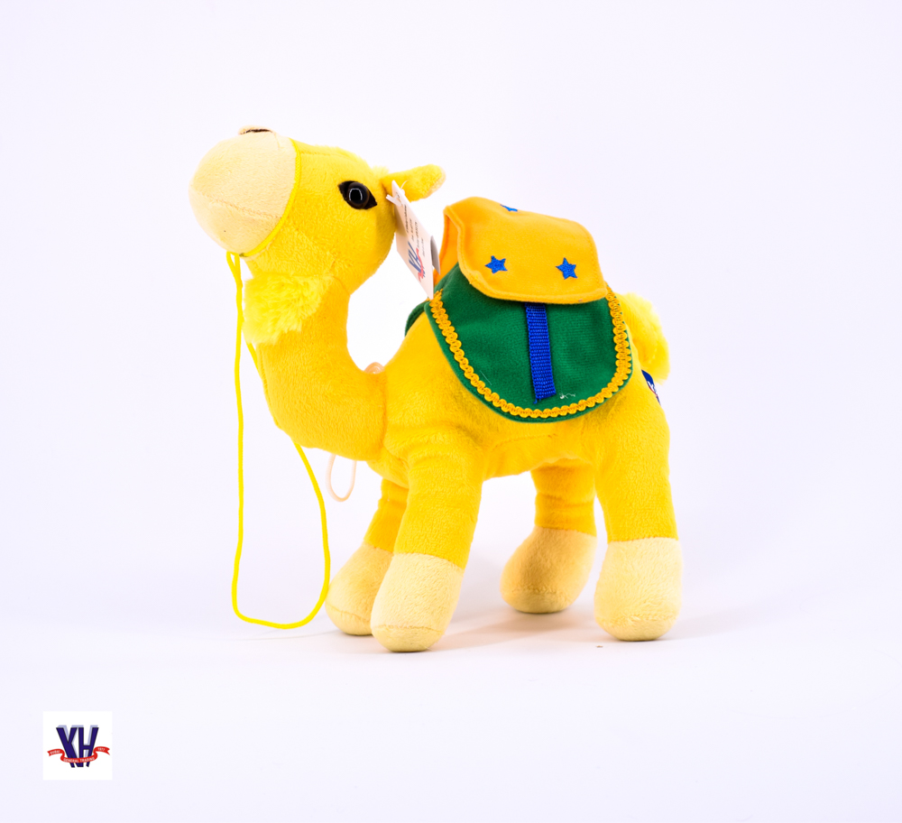 Camel