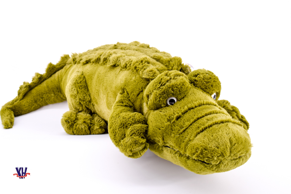 Crocodile
