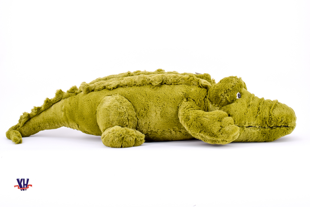 Crocodile