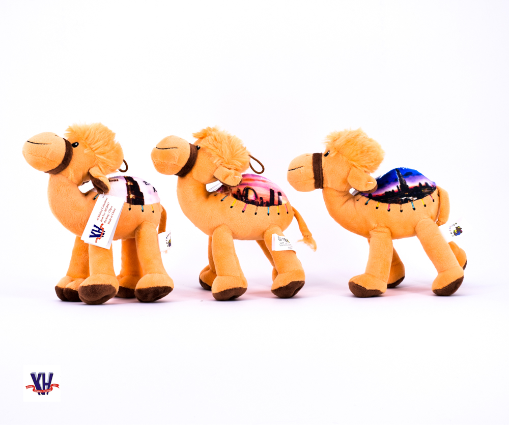 Camel