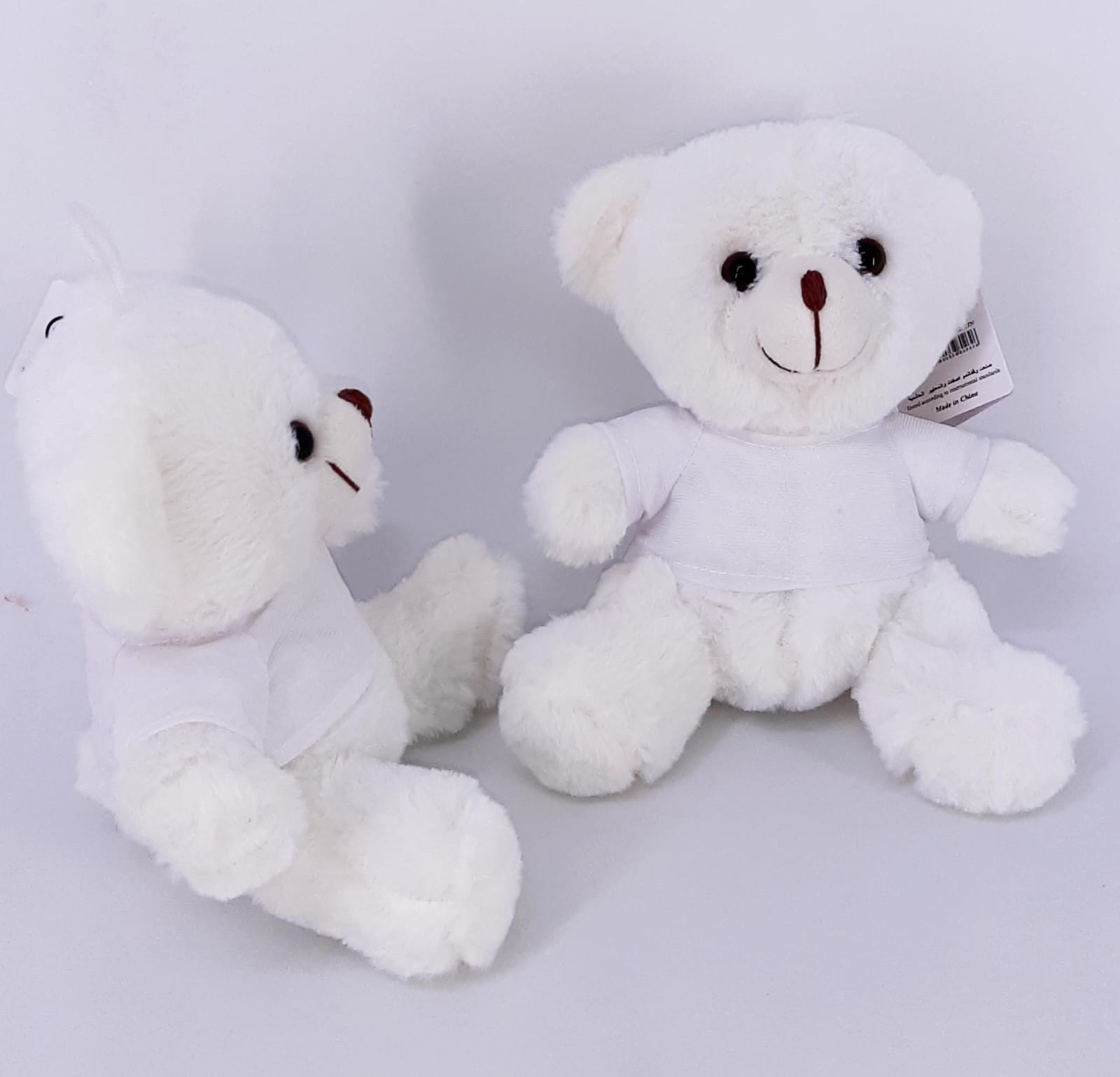 20CM,BEAR W/T-SHIRT