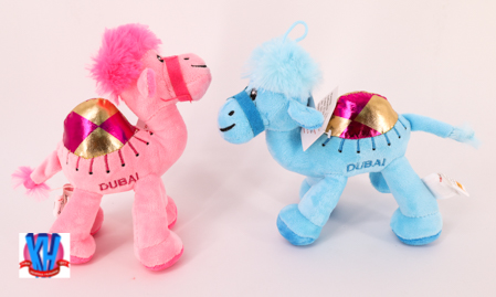 SOFT CAMEL 